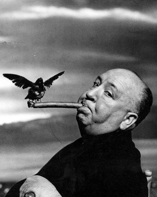 philippe-halsman-alfred-hitchcock-avec-corbeau-et-cigare-film-les-oiseaux