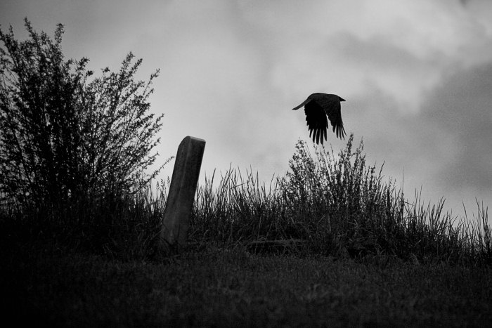 cemetery-crow_src_1